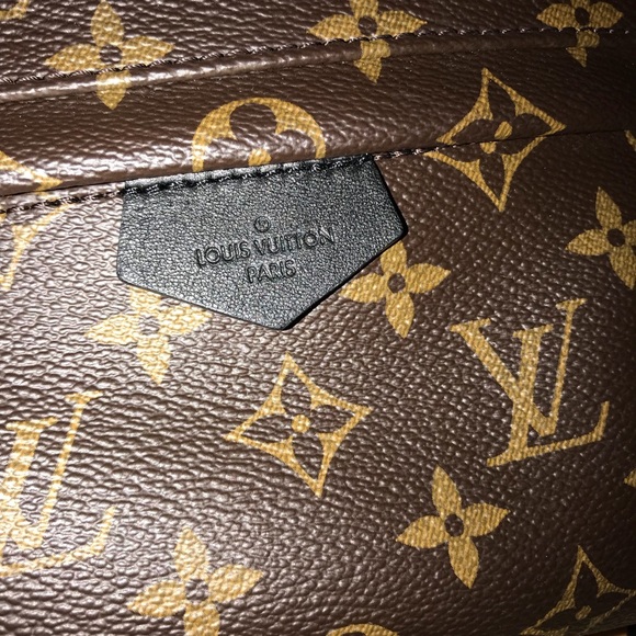 Louis Vuitton Palm Springs PM Backpack main image 6